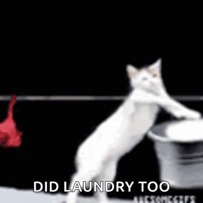 White Cat Standing Next To Clothesline With T-Shirt GIF