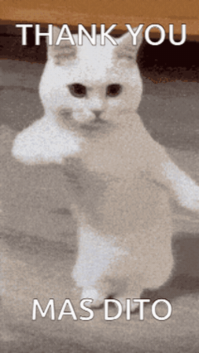 White Cat Standing Saying Thank You Mas Dito GIF