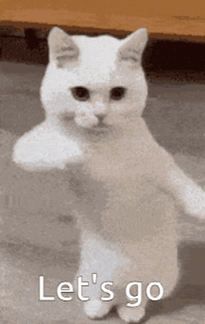 White Cat Standing With Arms Outstretched Saying Let's Go GIF