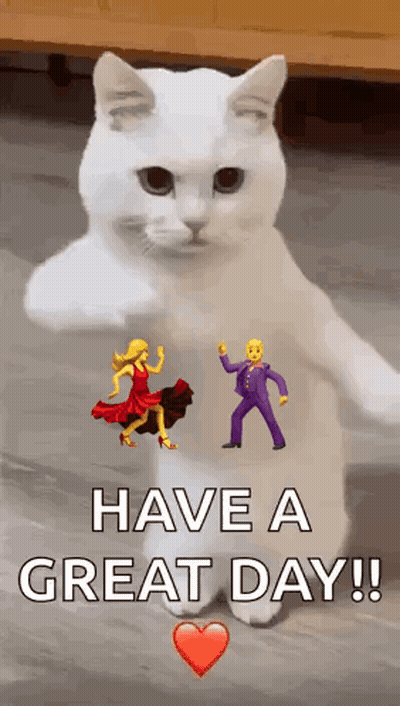 White Cat Standing With Dancing Emojis GIF
