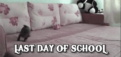 White Cat Standing With Paws Up Last Day Of School GIF
