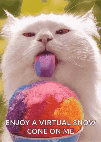 White Cat Sticking Tongue Out Eating Snow Cone GIF