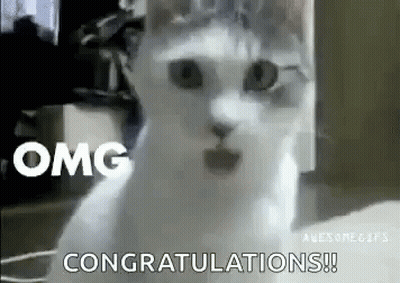 White Cat Surprised Saying Congratulations GIF