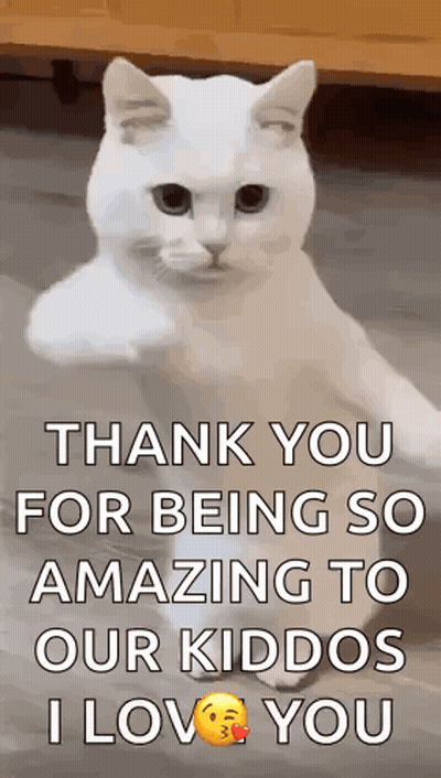 White Cat Thanking Our Amazing Kiddos GIF