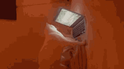 White Cat Typing On Laptop GIF