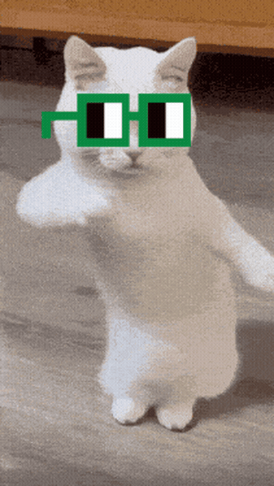 White Cat Wearing Green Glasses GIF