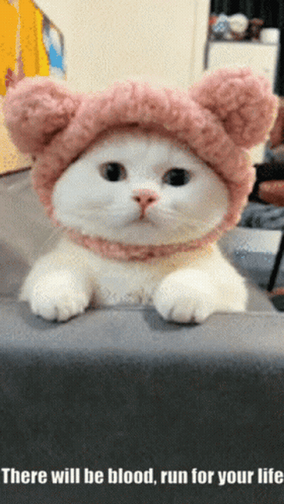 White Cat Wearing Pink Hat There Will Be Blood GIF