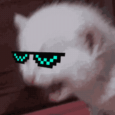 White Cat Wearing Pixelated Sunglasses With Letter W GIF