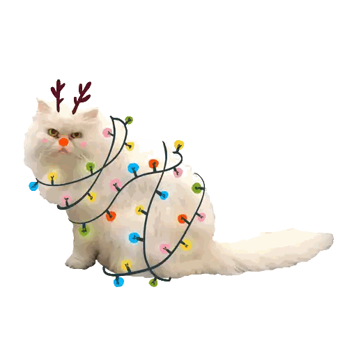 White Cat With Antlers And Lights Sticker