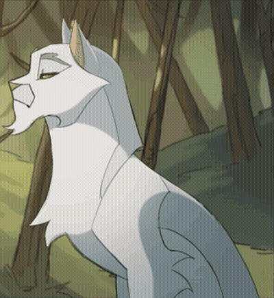 White Cat With Beard GIF