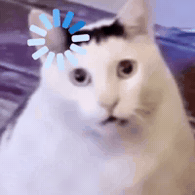 White Cat With Black Spot on Head Sitting on Bed