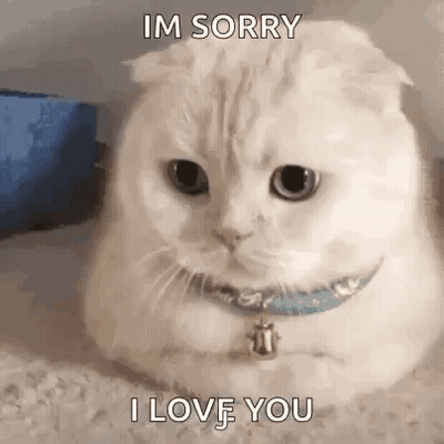 White Cat With Blue Collar Saying I'm Sorry I Love You GIF