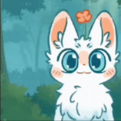 White Cat With Blue Eyes And Flower In Ear GIF
