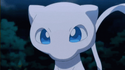 White Cat With Blue Eyes Looking At Camera GIF