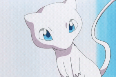 White Cat With Blue Eyes Sitting On Blue Surface GIF