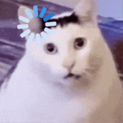 White Cat With Blue Loading Bar On Head GIF