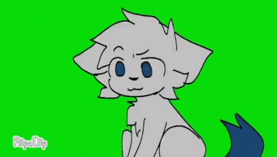 White Cat With Blue Tongue Sticking Out GIF
