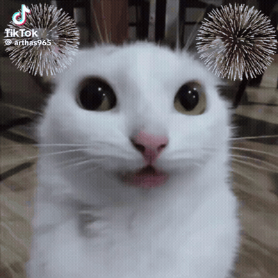 White Cat With Fireworks Behind Ears TikTok GIF