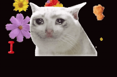White Cat With Flowers Saying I Love You GIF