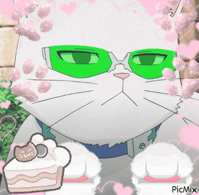 White Cat With Green Glasses And Cake With Cat GIF