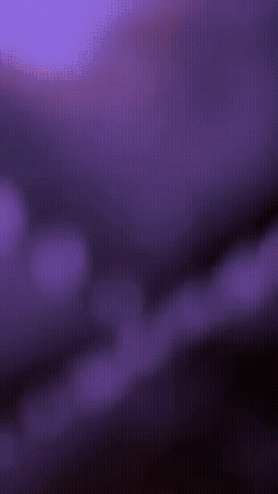White Cat With LMFAO Leafy GIF