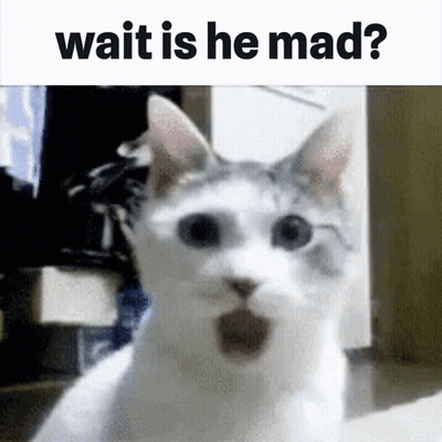 White Cat With Mouth Open Saying Wait Is He Mad GIF