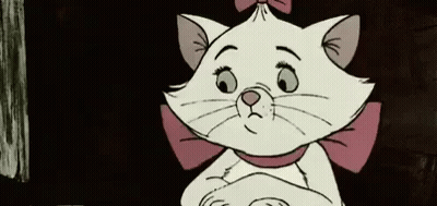 White Cat With Pink Bow GIF
