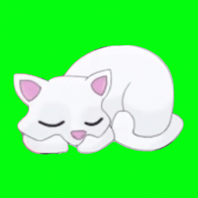 White Cat With Pink Ears Sleeping Eyes Closed GIF