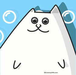White Cat With Round Eyes GIF