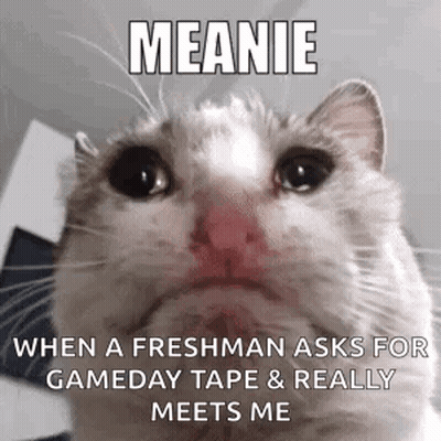 White Cat With Sad Look GIF