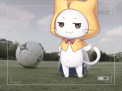 White Cat With Yellow Hood And Soccer Ball GIF