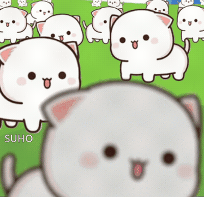 White Cats On Green Field One Smiling GIF