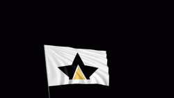 White Champion Flag GIF