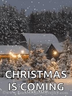 White Christmas Noel GIF