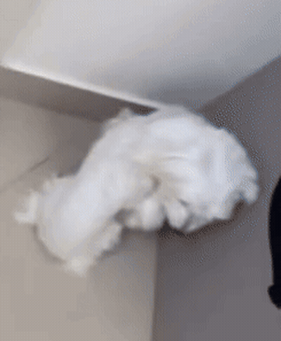 White Cotton Wool Hanging From Ceiling GIF