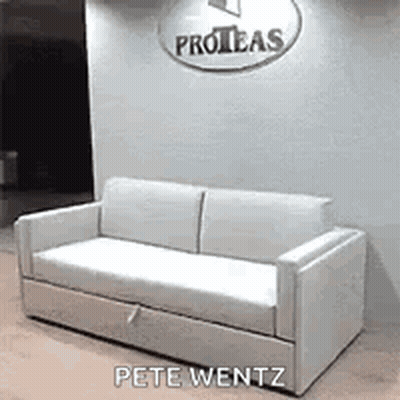 White Couch In Front Of Wall Saying Proteas GIF