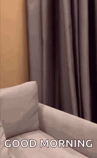 White Couch In Front Of Window Saying Good Morning GIF