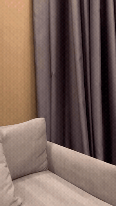 White Couch In Front Of Window GIF