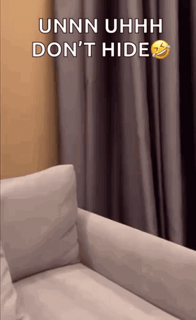 White Couch With Unnn Uhhh Don't Hide GIF