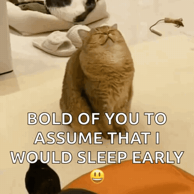 White Dog In Car Says Sis I Love You Good Morning GIF