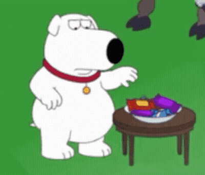 White Dog In Front Of Cabinet GIF