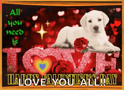 White Dog Laying On Love Sign GIF