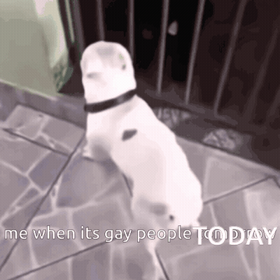White Dog Me When Its Gay People Today