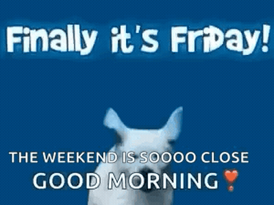 White Dog Running Blue Background Finally It's Friday! The Weekend Is Soooo Close Good Mor GIF