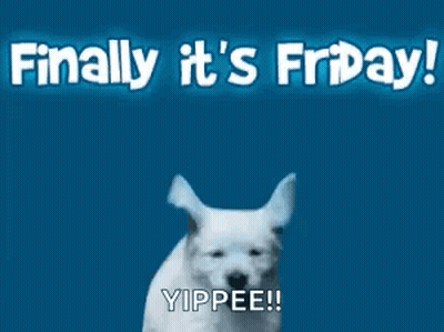 White Dog Running Finally It's Friday Yippie! GIF