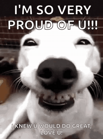 White Dog Says I'm Very Proud Of U GIF