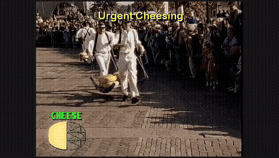 White Dog Smiling Hello Dog GIF