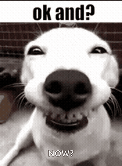 White Dog Smiling Saying Ok And Now GIF