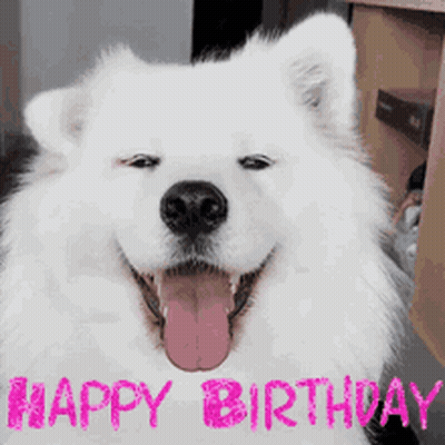 White Dog Tongue Out Happy Birthday GIF