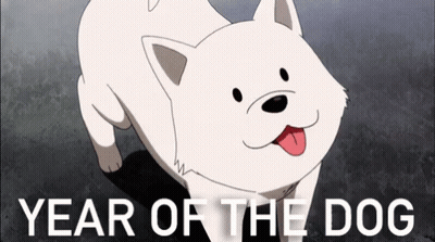 White Dog Tongue Out Year Of The Dog GIF